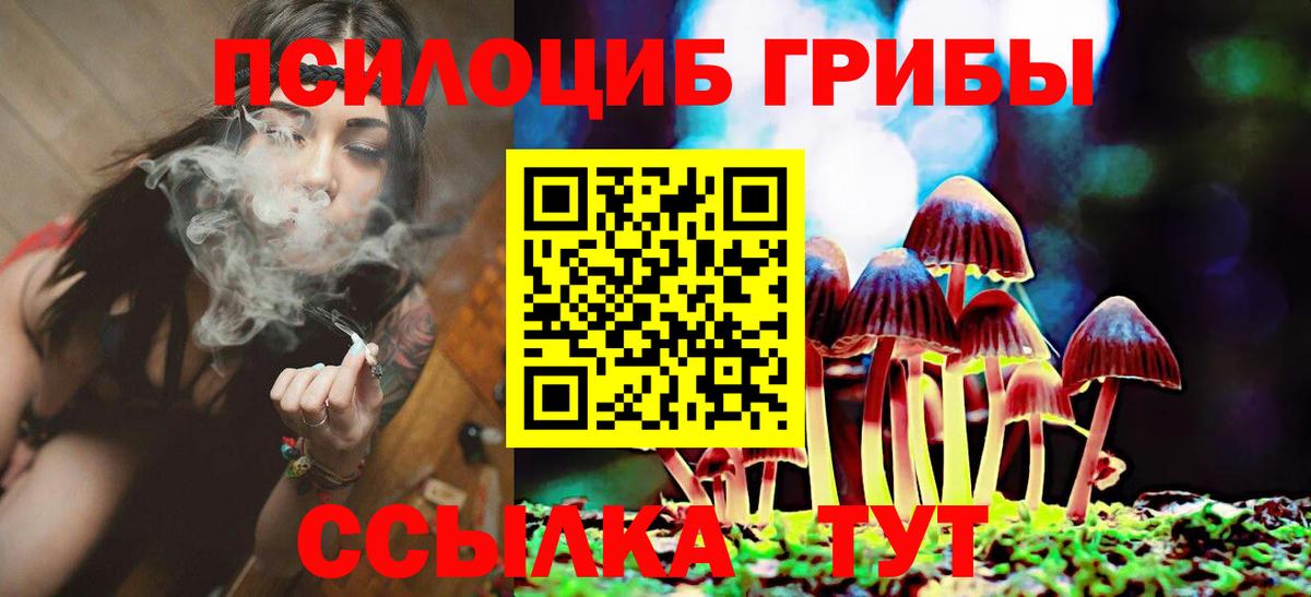 Великие Луки  Псилоцибиновые грибы GOLDEN TEACHER  Галлюциногенные грибы Cubensis  Вход с VPN 