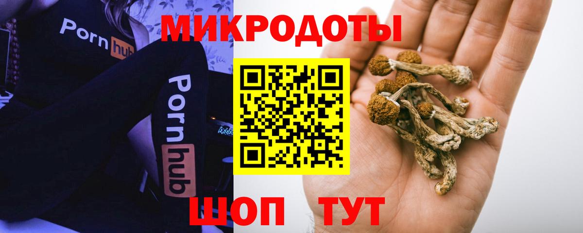 Галлюциногенные грибы прущие грибы Великие Луки